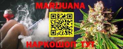 спиды Дубна