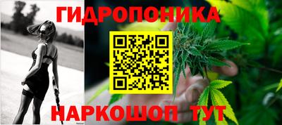 индика Донецк