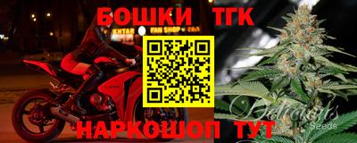 индика Донецк