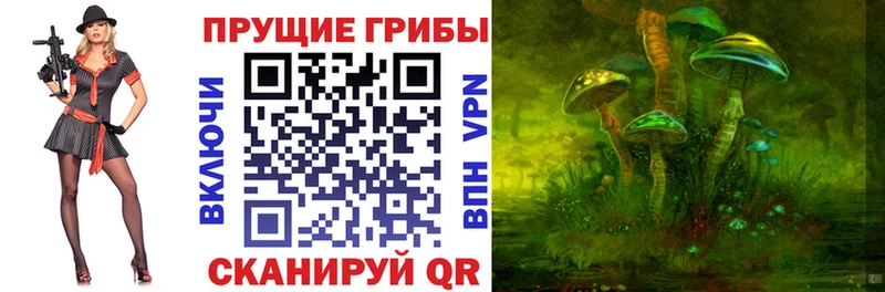 где продают наркотики  Камышин  Галлюциногенные грибы мицелий 