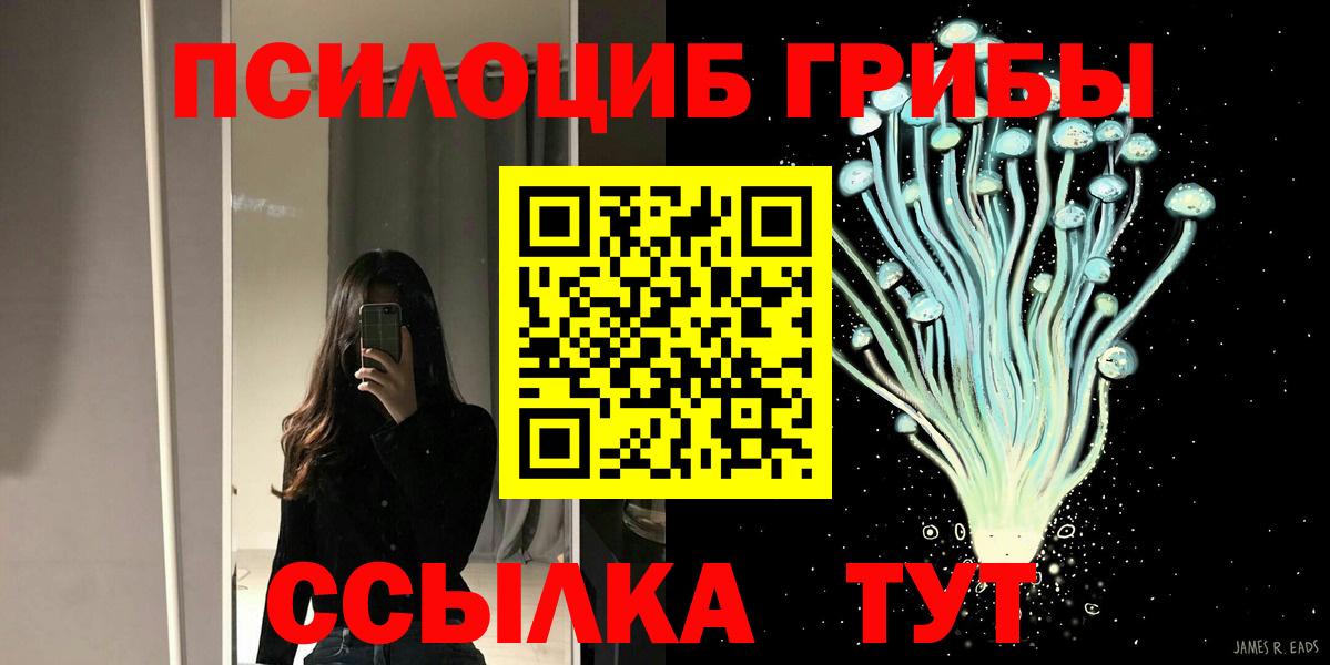 Псилоцибиновые грибы Psilocybe Камышин