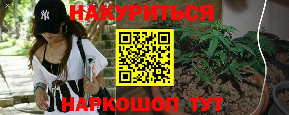 Конопля сатива  Бошки марихуана Amnesia  Камышин  Бошки марихуана Ganja  Бошки марихуана конопля 